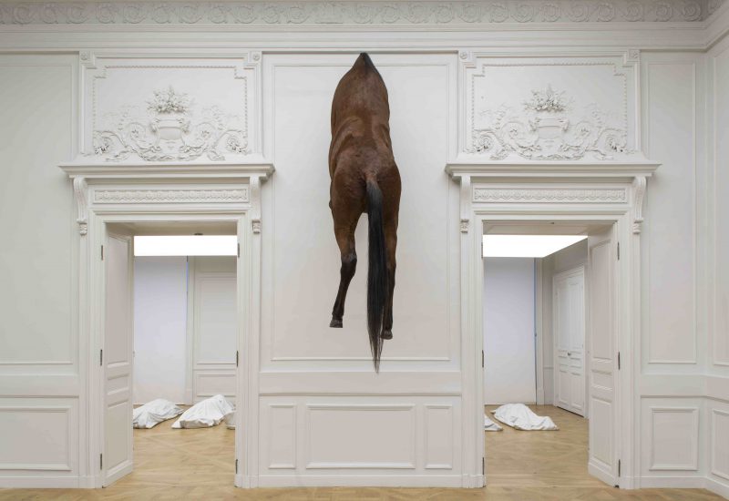 Maurizio Cattelan, Sans titre, 2007 Cheval naturalisé