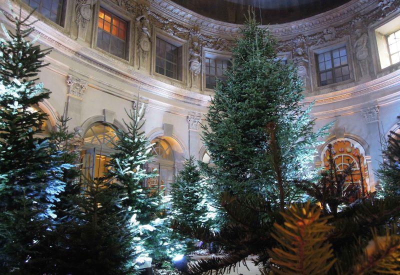 VAUX-LE-VICOMTE _ noel-2016-c-collectif-image sapins dans le grand-salon-2016-4