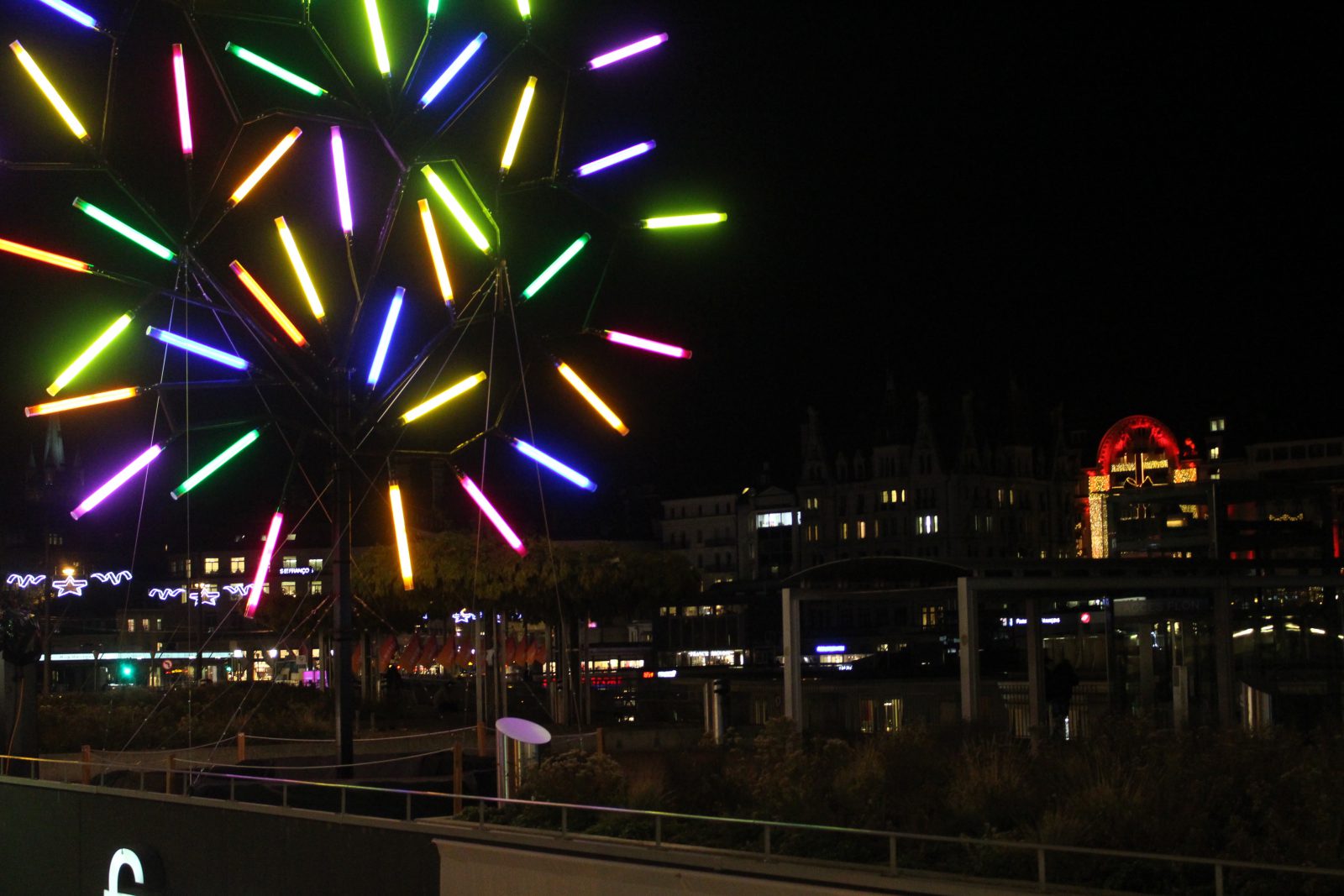 Lausanne Lumières 2016 arbre