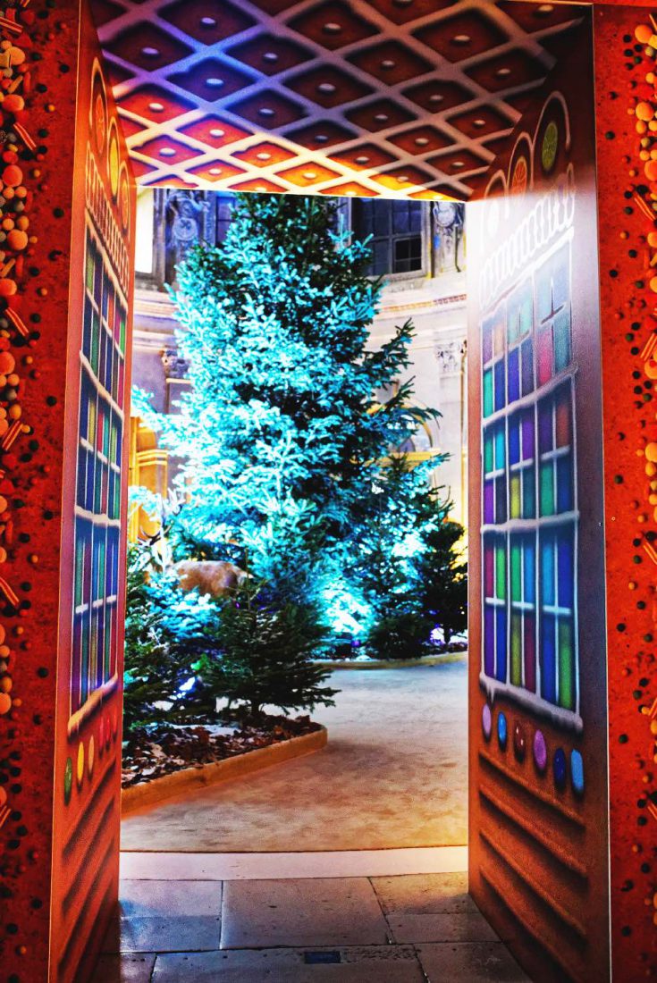 VAUX-LE-VICOMTE _ noel-2016-c-collectif-image bibliothèque