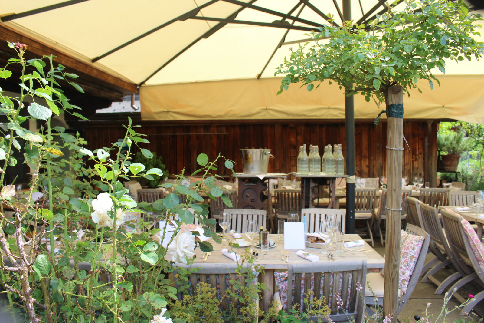 Saanen 16 Art Bar Restaurant terrasse