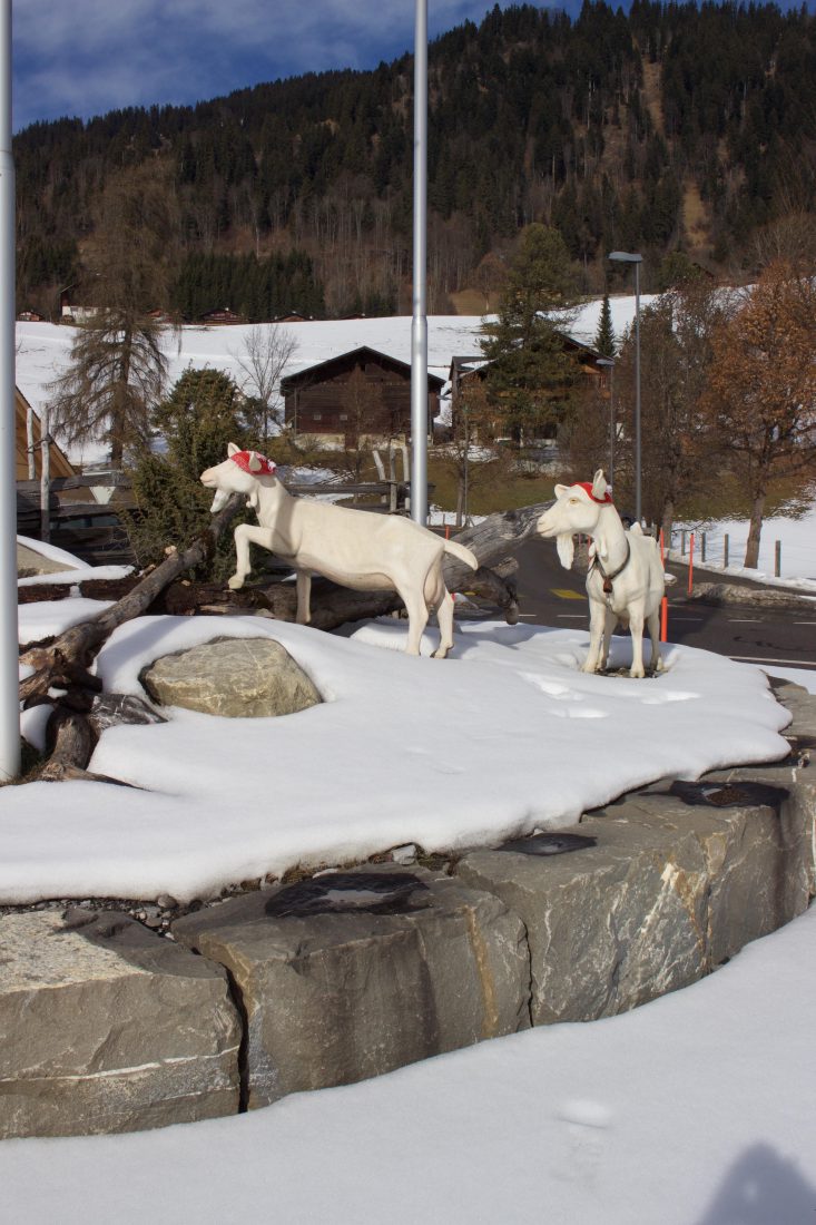 Statues de chèvres de Gessenay- Saanenland