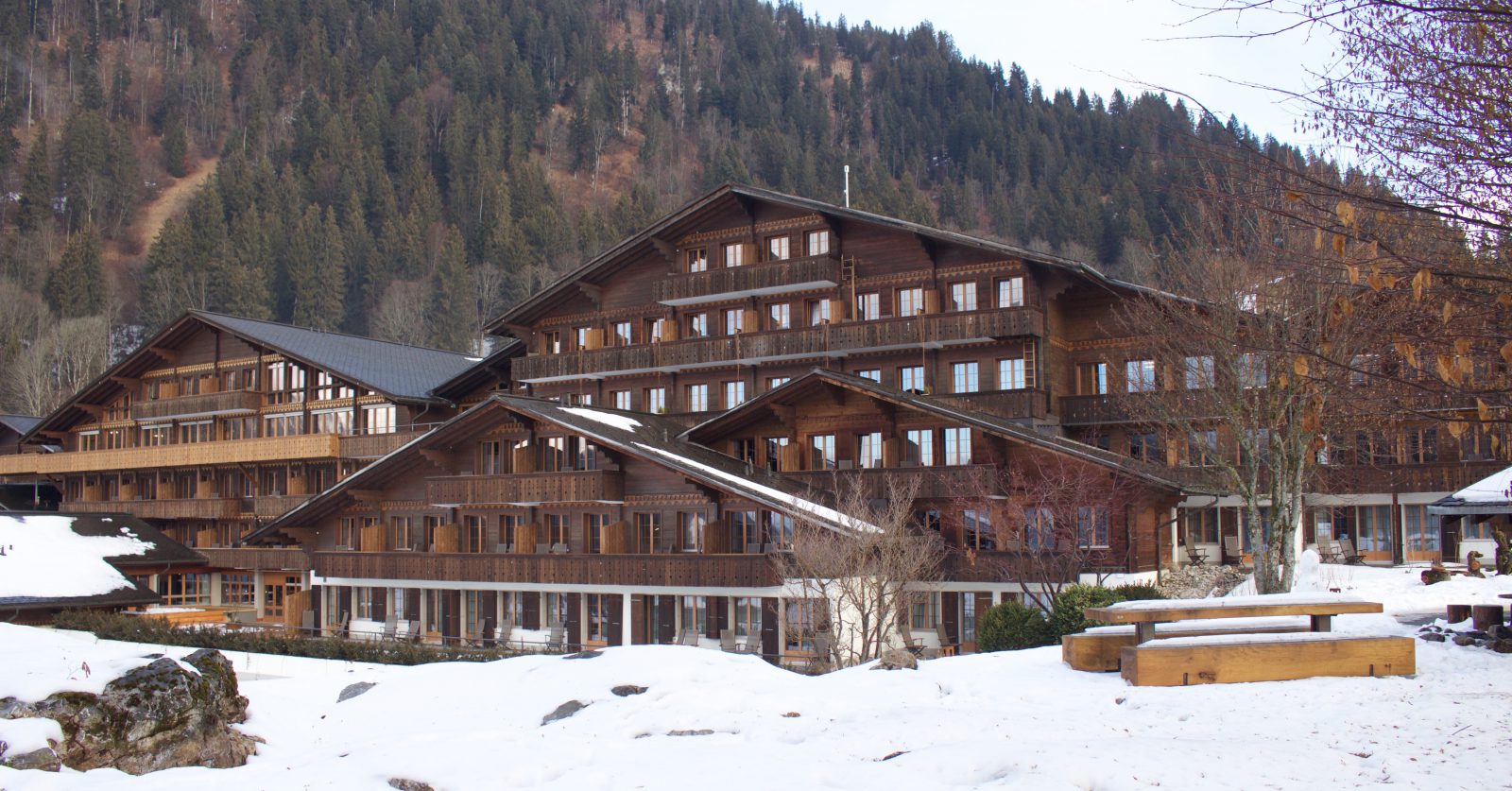 Saanen hôtel Huus vue Sud