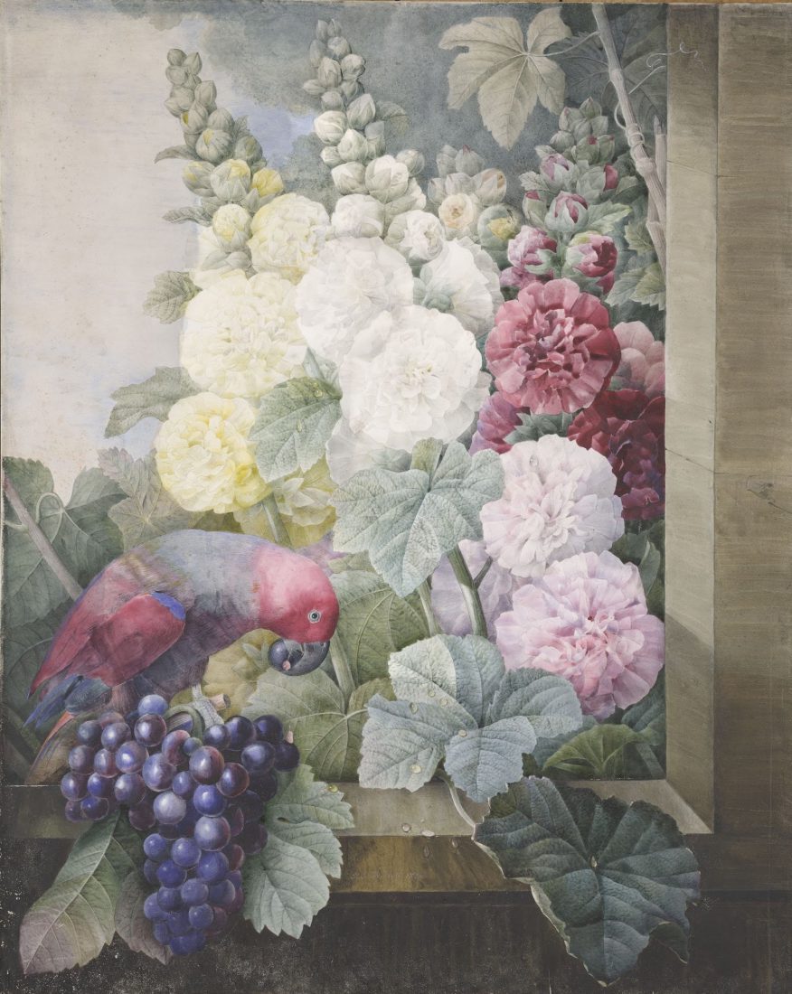 Pierre-Joseph Redouté (1759-1840), Fleurs : roses trémières, raisins et le lori cramoisi, 1836