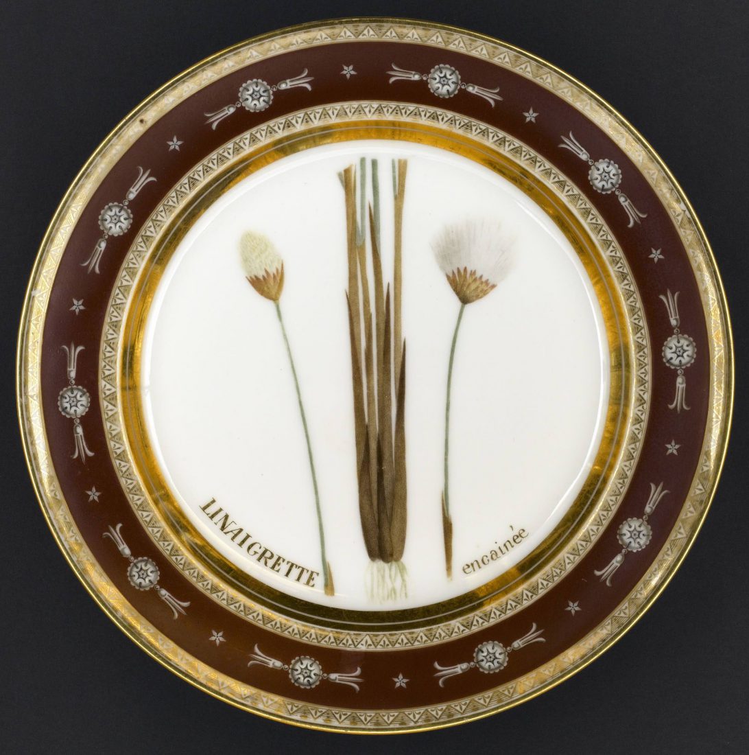 Assiette de la Flore parisienne: Linaigrette encainée, Rueil Malmaison, Châteaux de Malmaison et Bois Préau