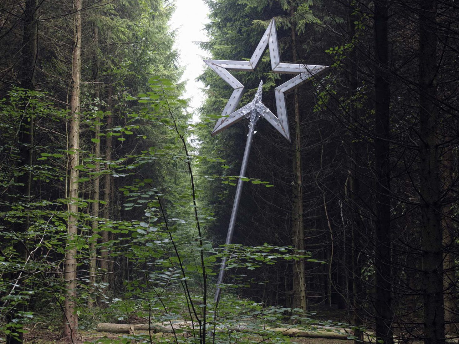 Réenchantement, Jean-Luc Verna, Vent des Forêts ©vdf