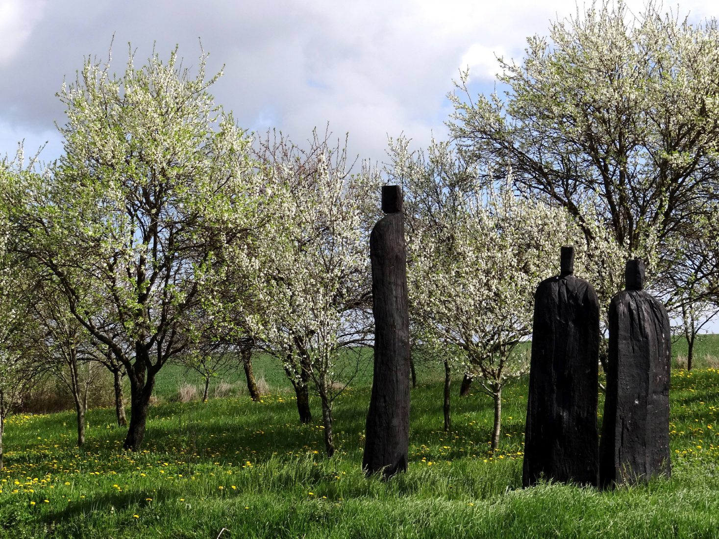 Vent des Forêts oeuvre_seule_lapie_le_silence..._©morgane_rul 