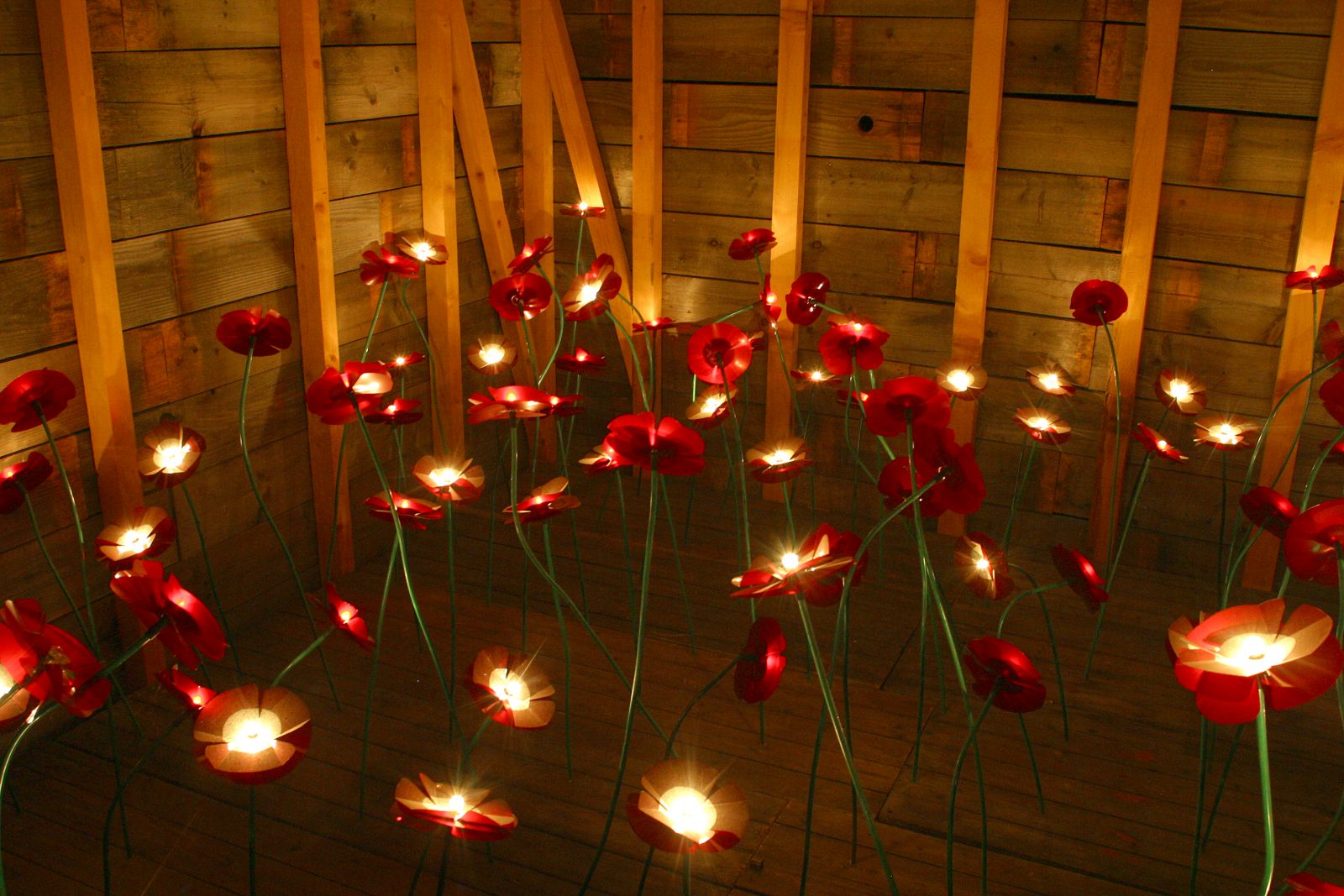 festival jardins arc et sentants 2017-coquelicots
