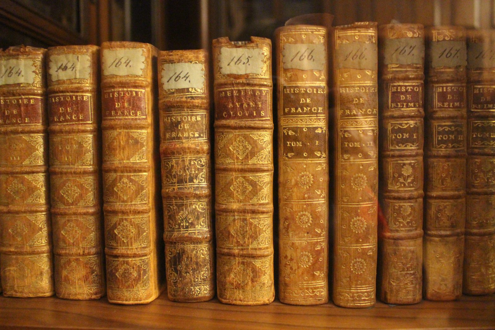Saint-petersbourg Bibliothèque de Voltaire 
