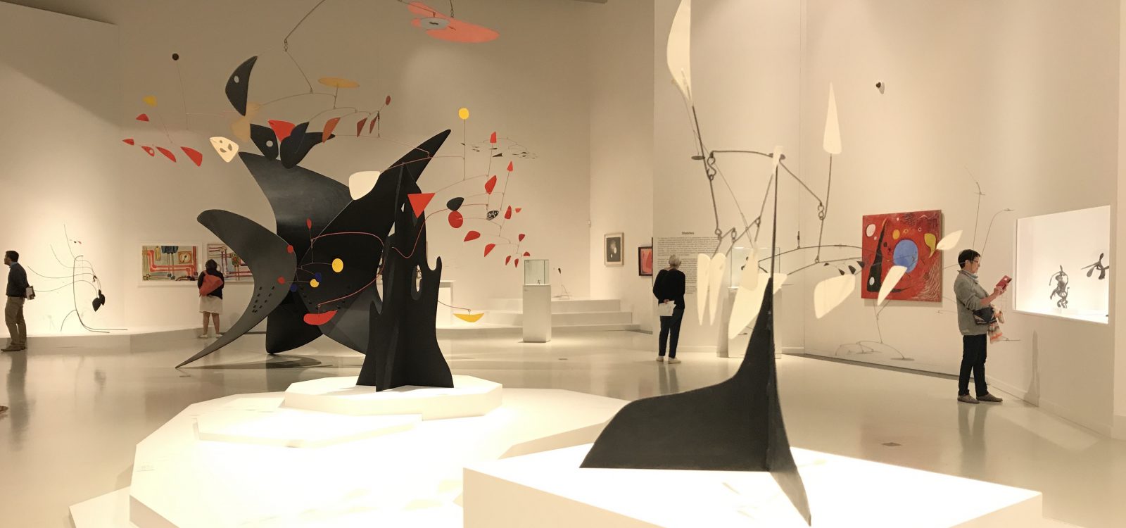 Calder - Forgeron de libellules géantes Musée Soulages de Rodez