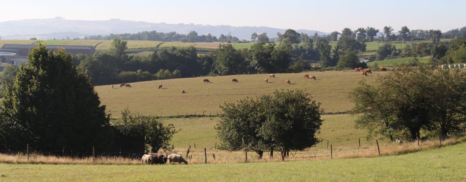 Saint-André-de-Najac paysage