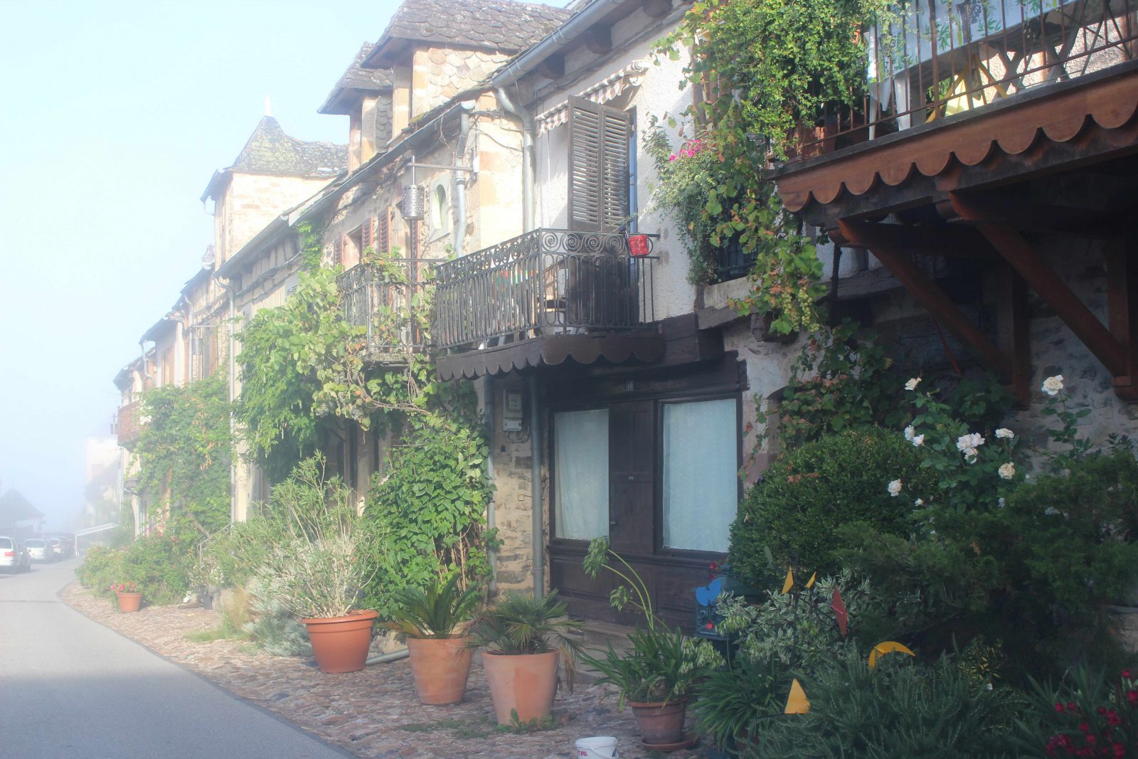 Naja aveyron maisons fleuries