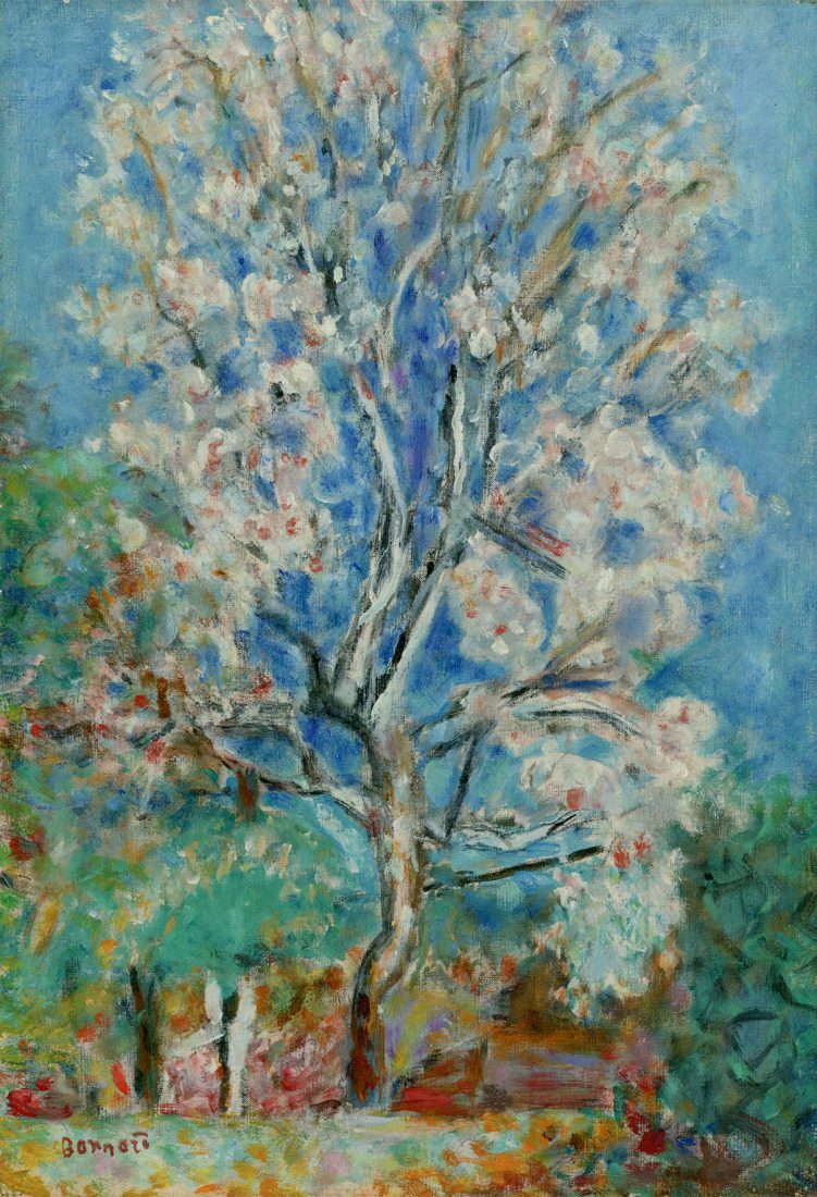 Bonnard Pierre (1867-1947). L'Amandier 