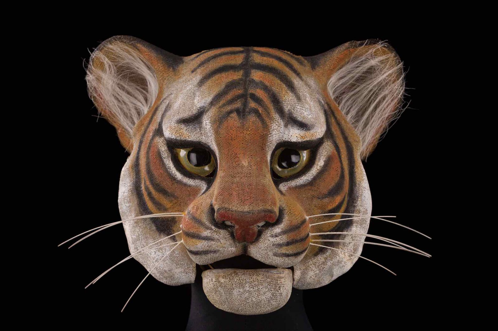 Masque pour le tigre dans Peines de coeur d'une chatte française @cncs