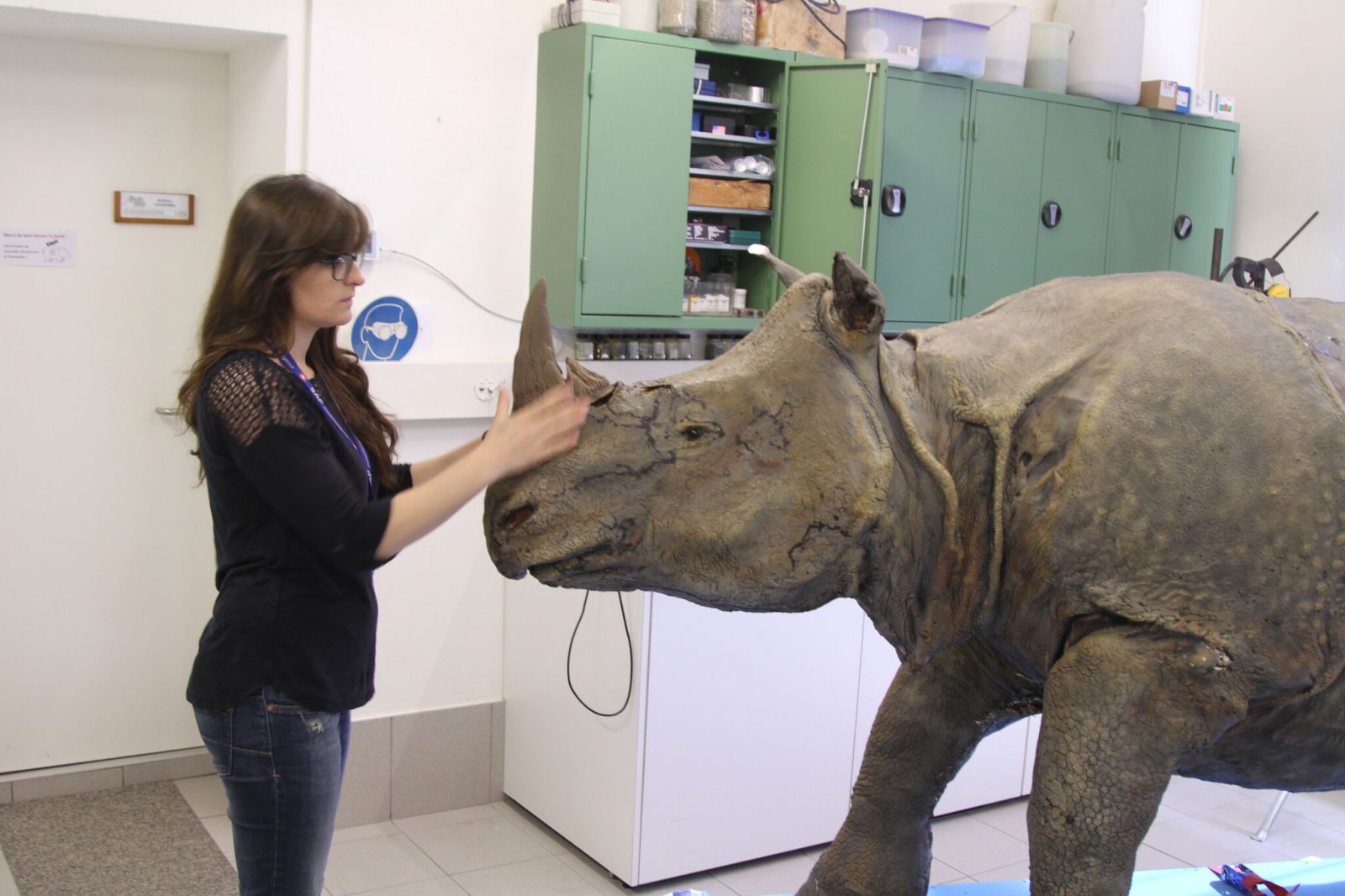 Fribourg Rhina rhinocéros restauré par Evelyne Rotzetta