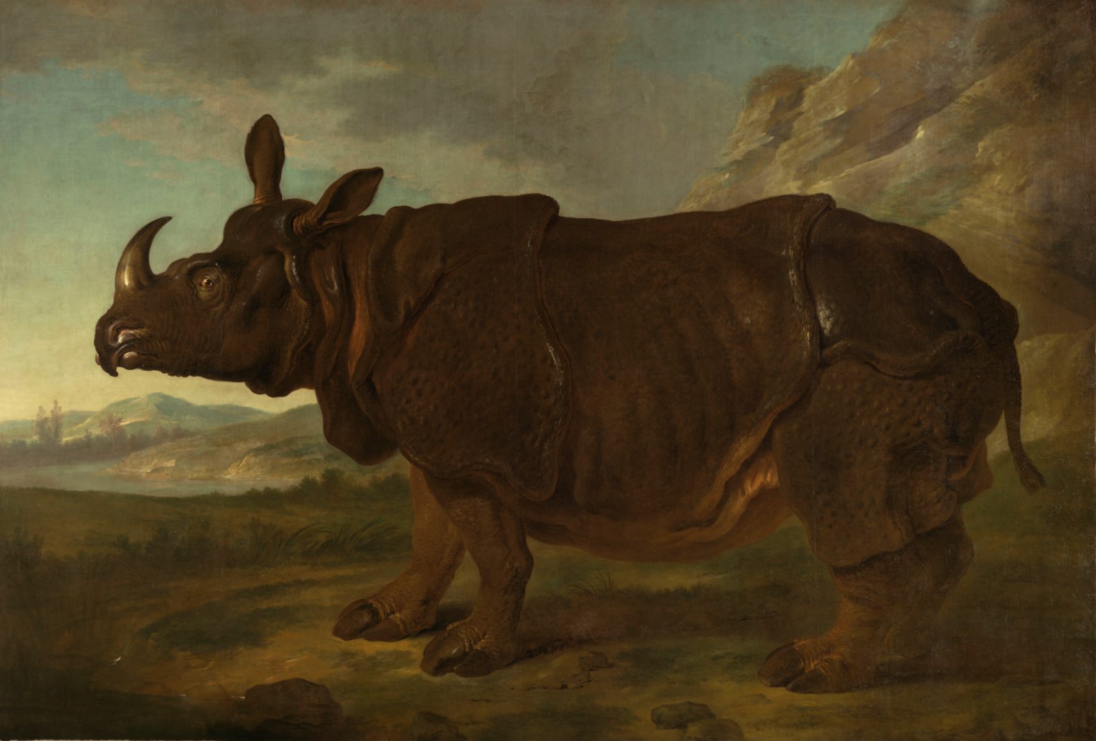 Clara est un rhinocéros indien femelle peint par Jean-baptiste Oudry