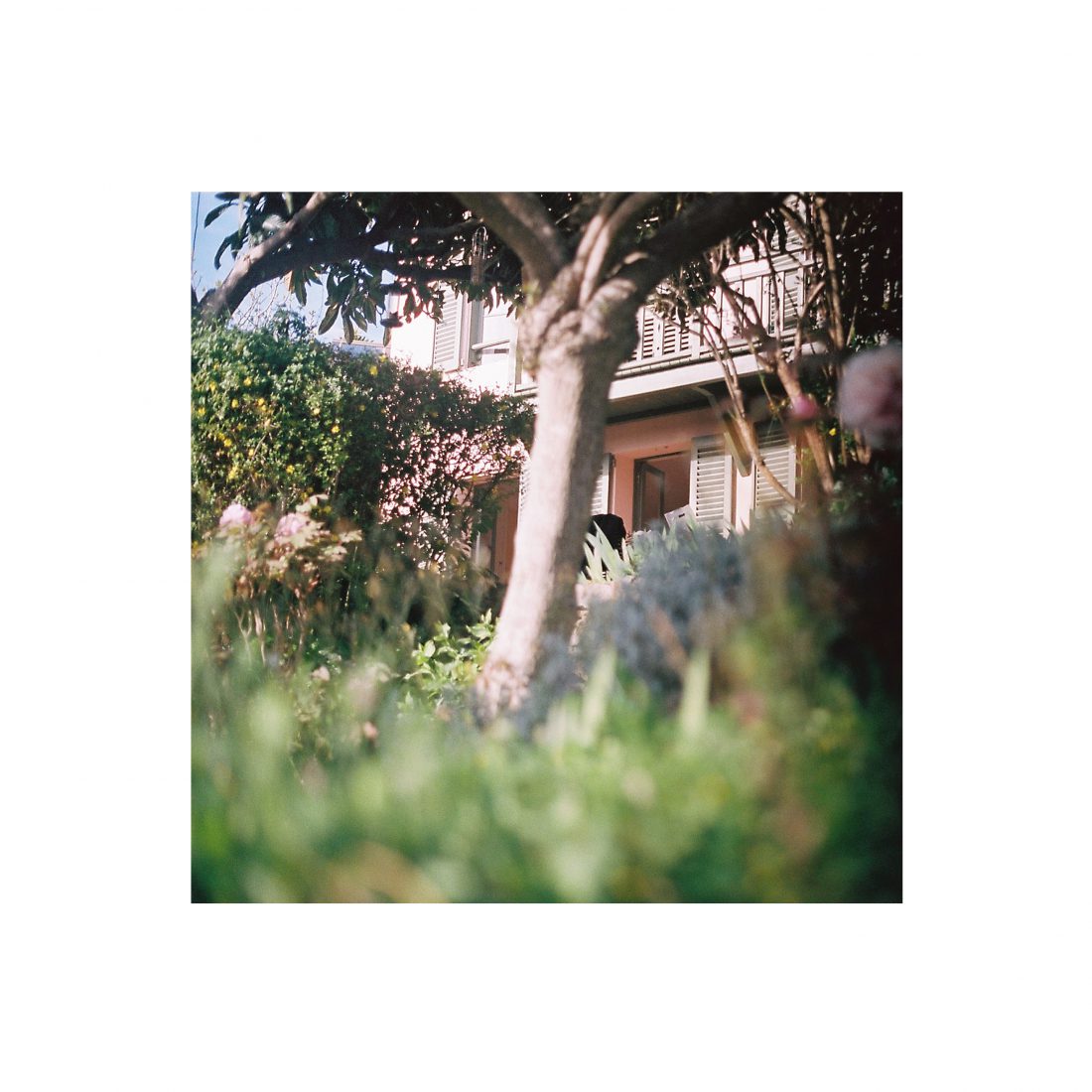 Maison de Pierre Bonnard Le Cannet - CAROLINE RENNEQUIN.
