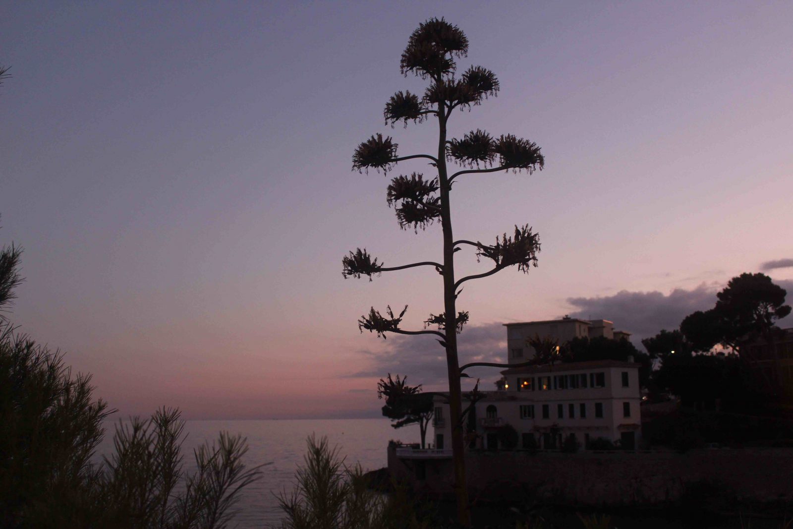 Cassis - coucher de soleil 