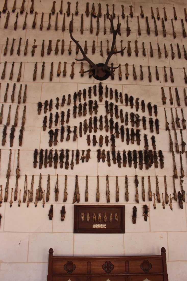 Château de Saint-Fargeau les tableaux de chasse