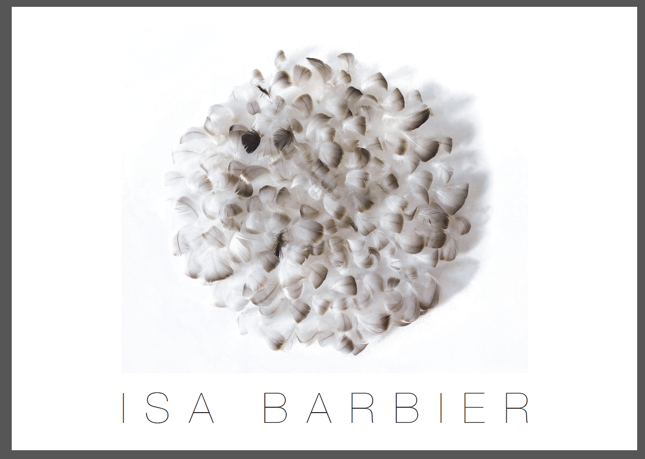Isa barbier Disque, 2017, plumes d'oie sur tuile