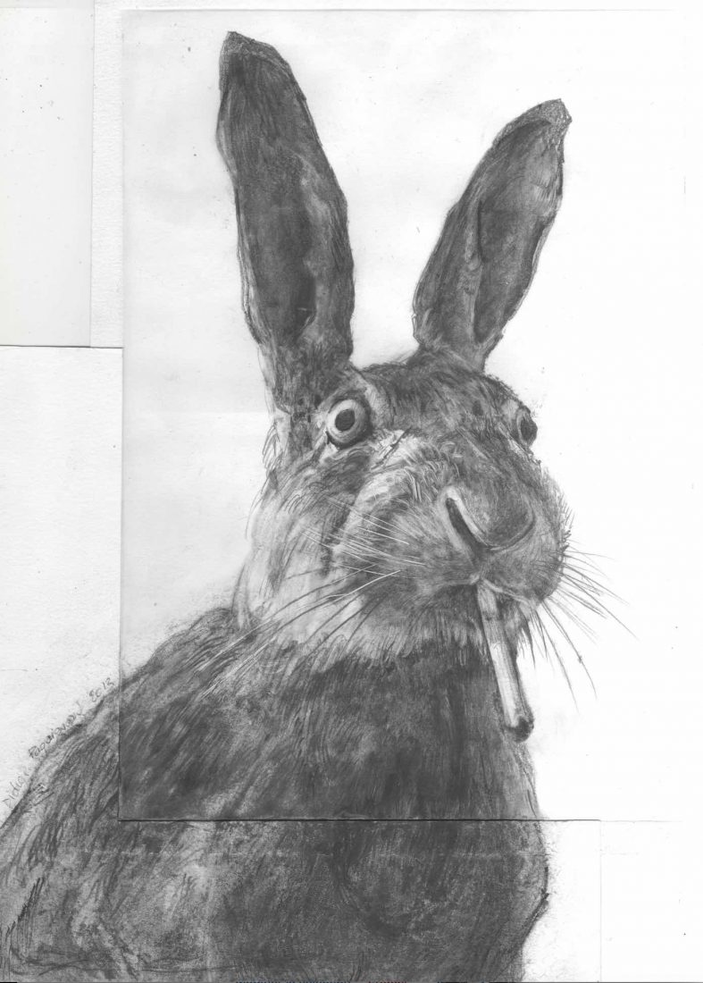 Didier Paquignon Le coup du lapin 
