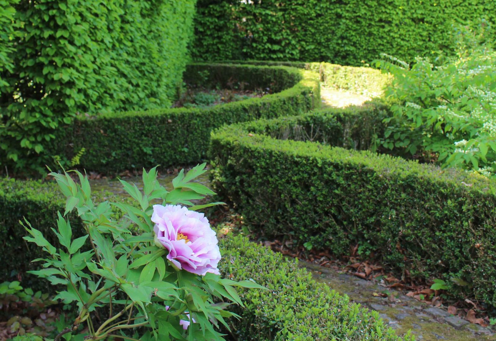 Château de Cheseaux Vaud parc