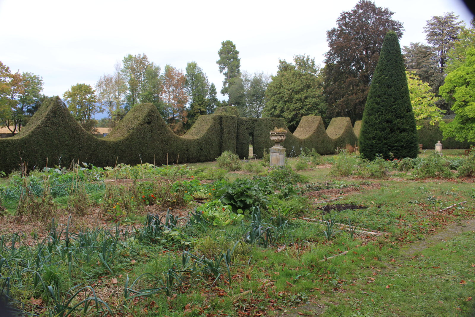 ferney Voltaire Le jardin potager 