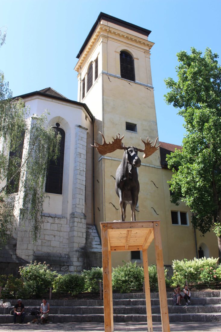 Annecy Paysages LES HÔTES DU LOGIS cerf