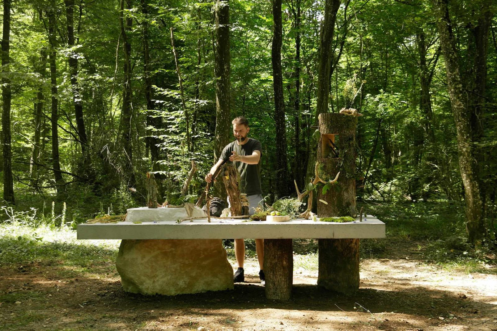 David de Tscharner, Nature morte, Vent des forêts 2018 