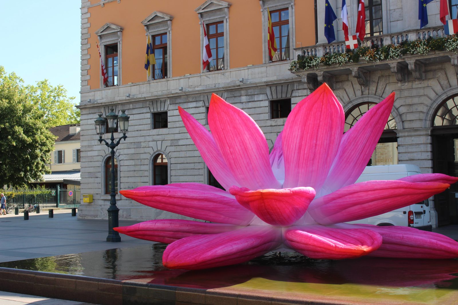 Annecy Paysages BREATHING LOTUS FLOWER