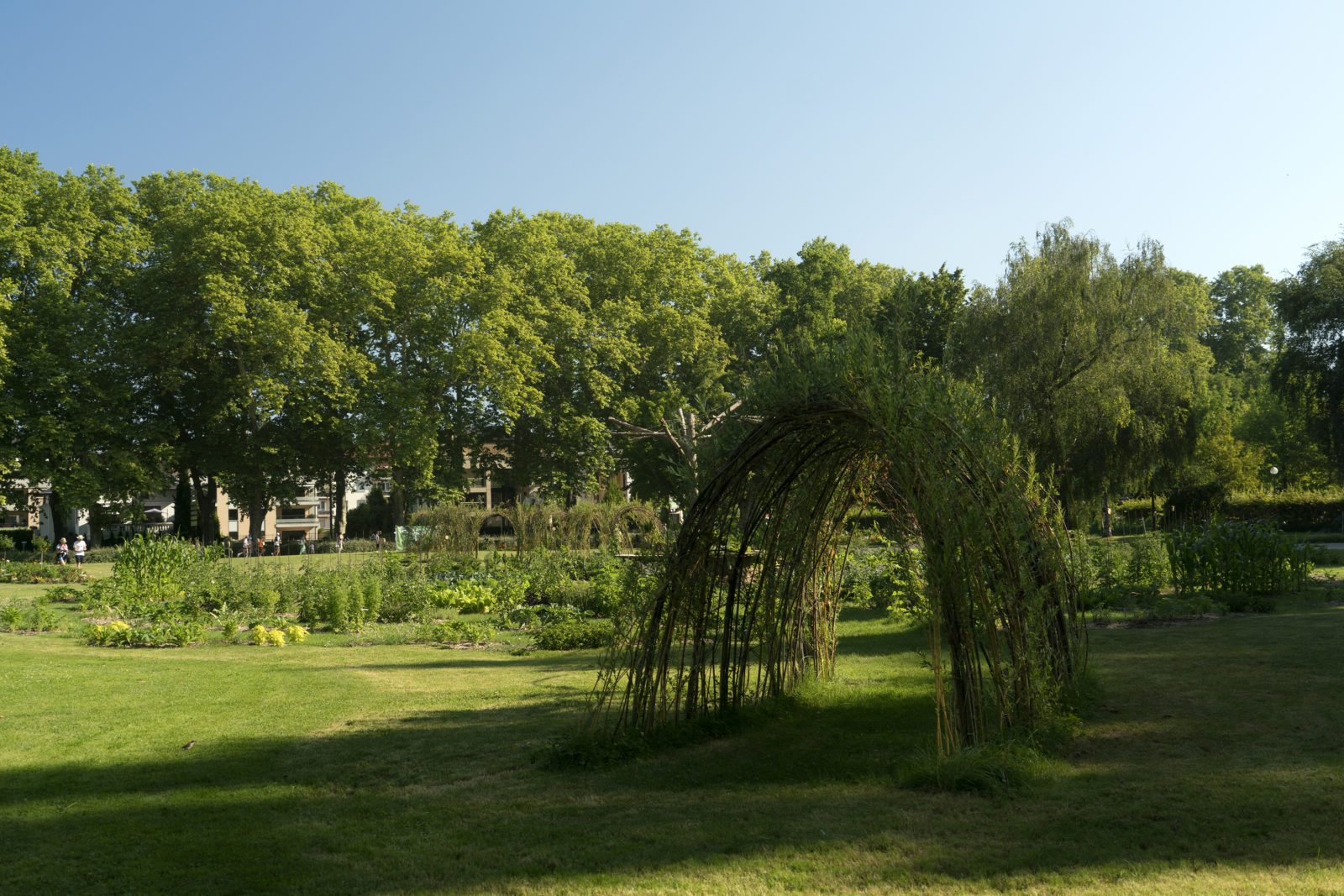 Annecy Paysages -- UN POTAGER DANS LA VILLE