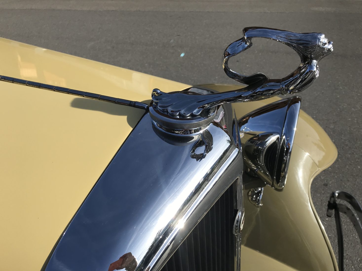Saanen Classic Cars Studbaker type 54 Roadster gros plan