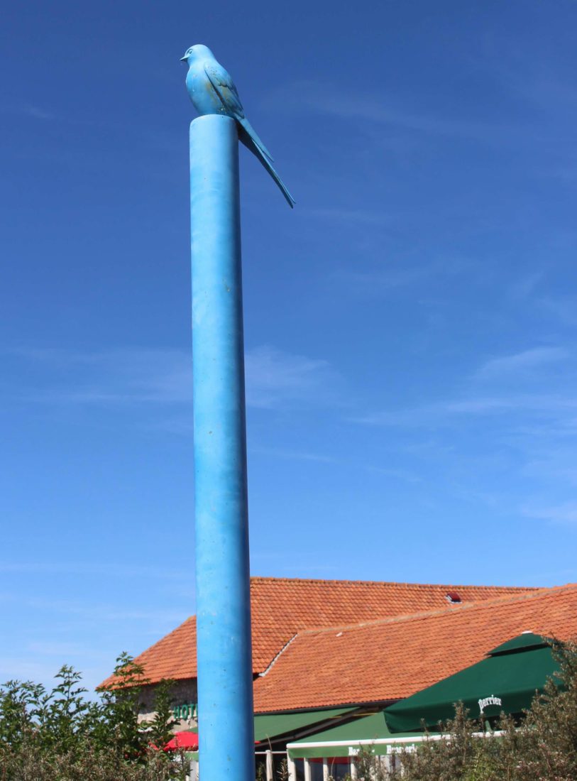  Maison du Site des Deux Caps exposition oiseau bleu