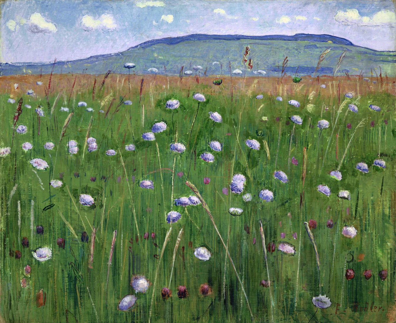 Hodler Wiesenstück, um 1901 Öl auf Leinwand