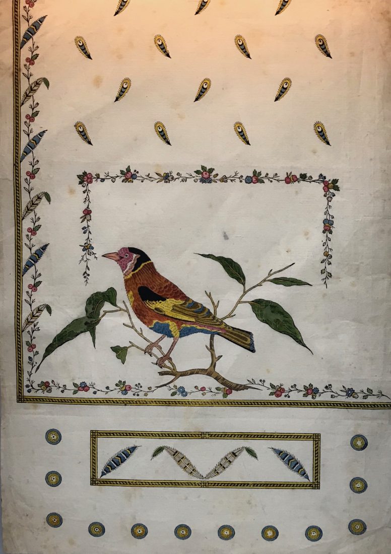 expo indiennes Neuchâtel oiseaux