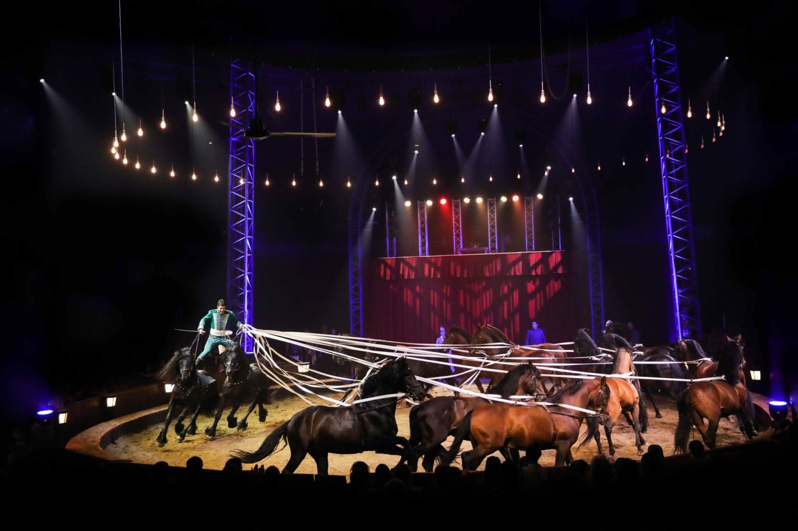Cirque Alexis Gruss chevaux menés Cirque Alexis Gruss chevaux menés
