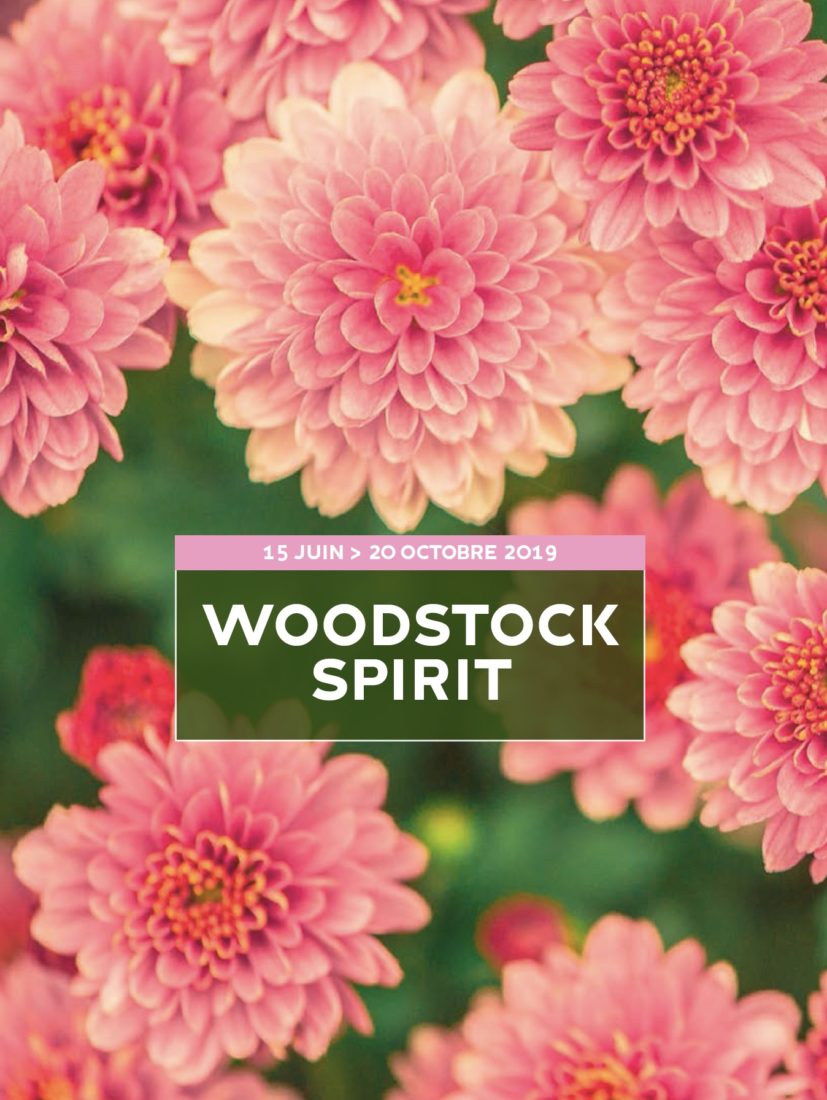 Arc et Senans Woodstock Spirit affiche