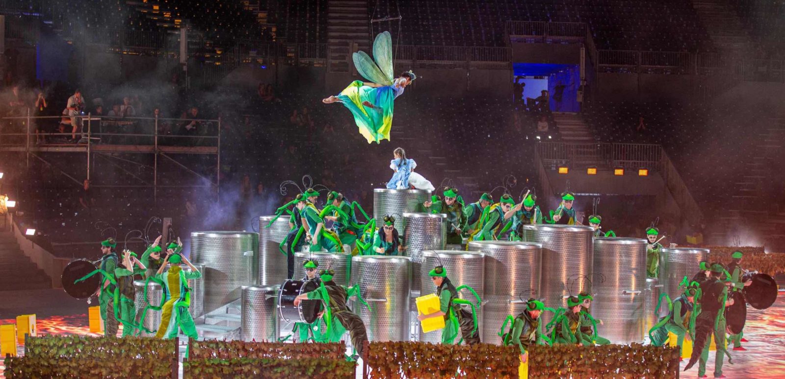 Fête des Vignerons 2019 libellule