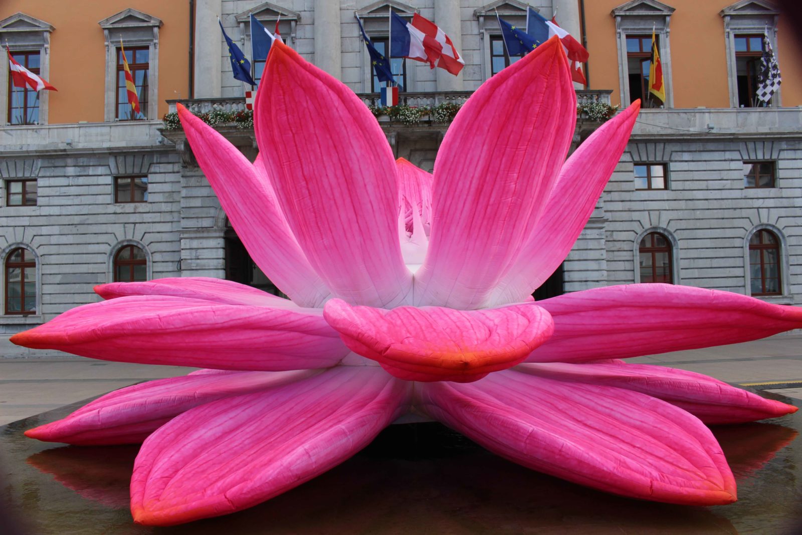 Annecy 2019 Breathing lotus flower Choi Jeong Hwa :