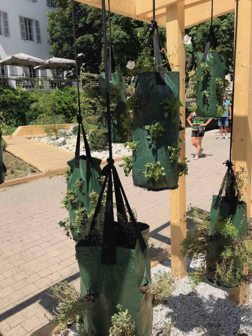 Annecy 2019 Natures en mouvement bacs de plantes 