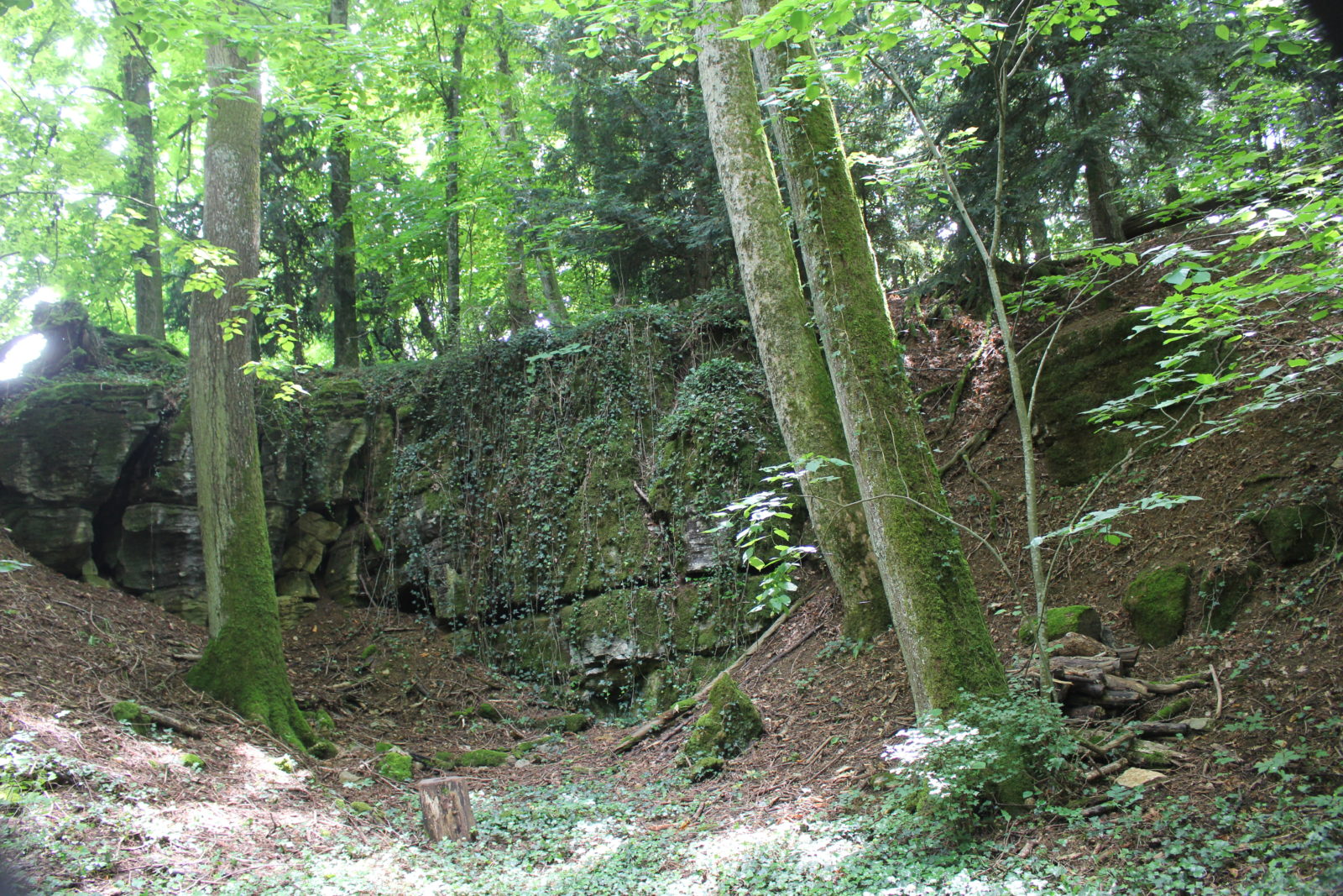 Monts-Boucons Besançon Colette Le parc