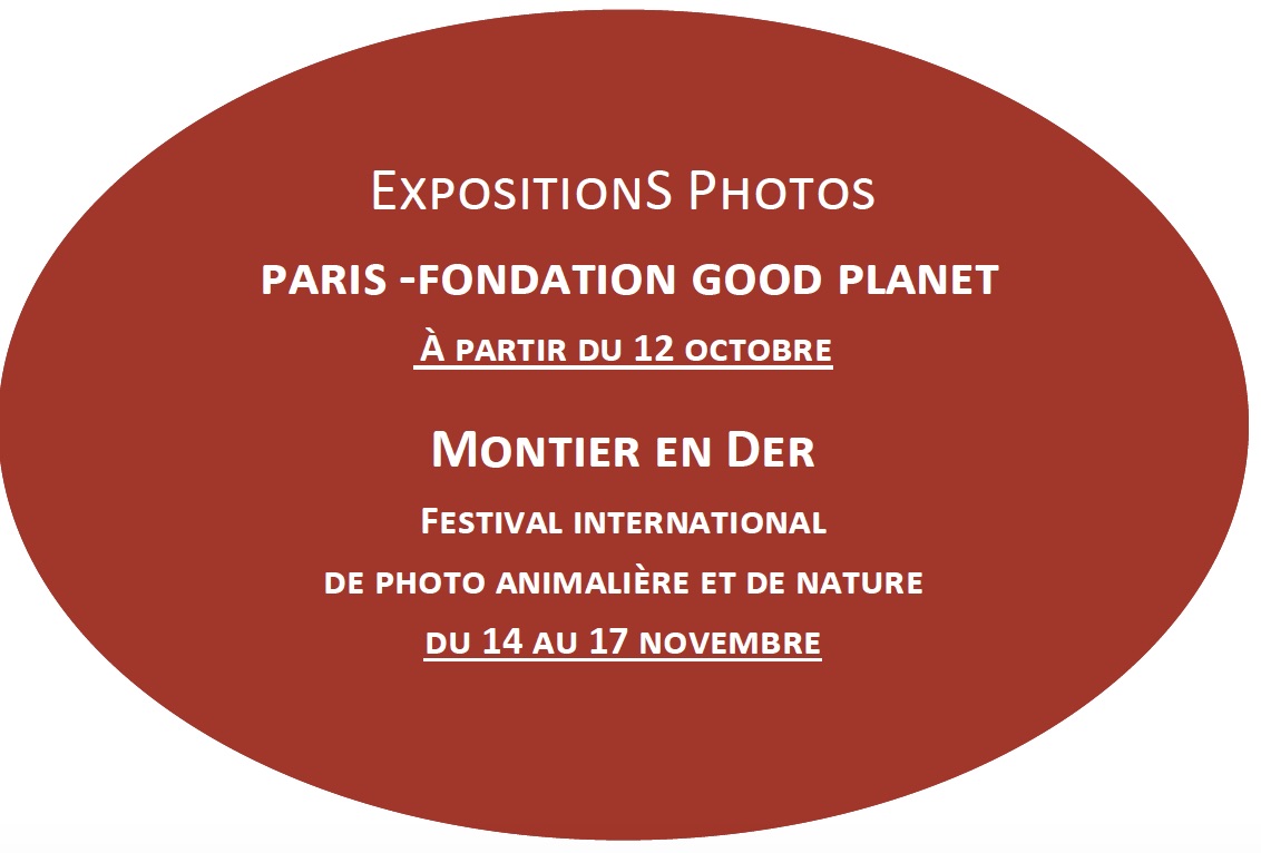 Exposition Photos Fondation Good Planet