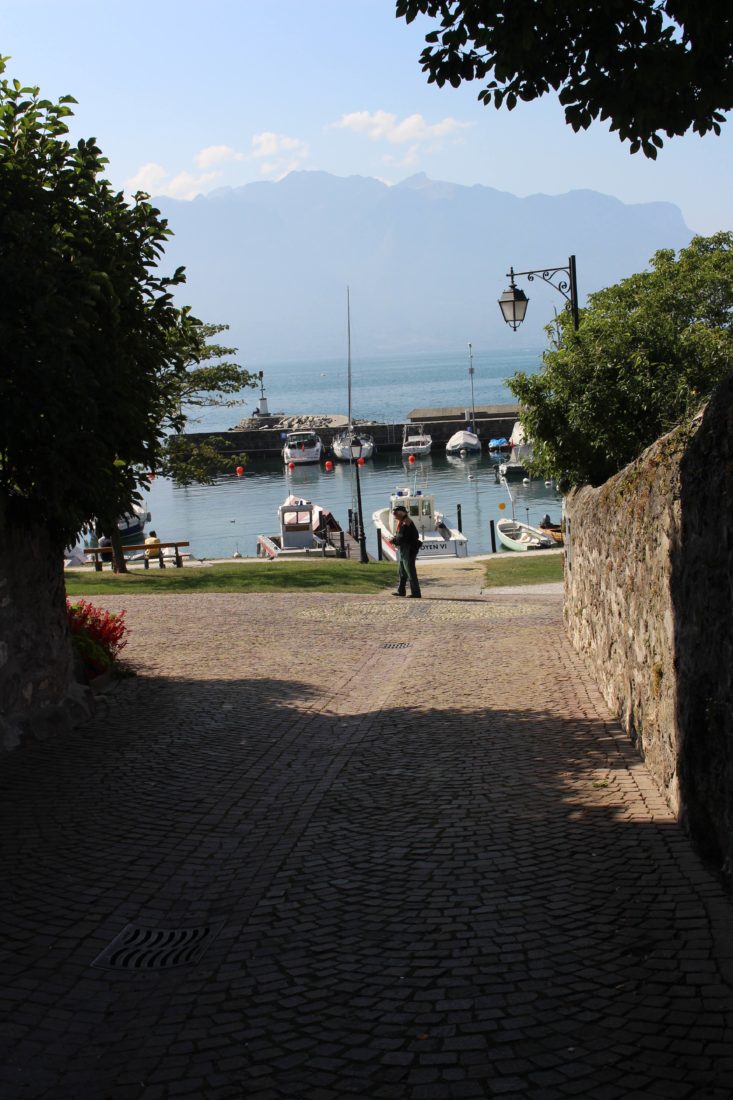  LA TOUR-DE-PEILZ Courbet sentier didactique vue port