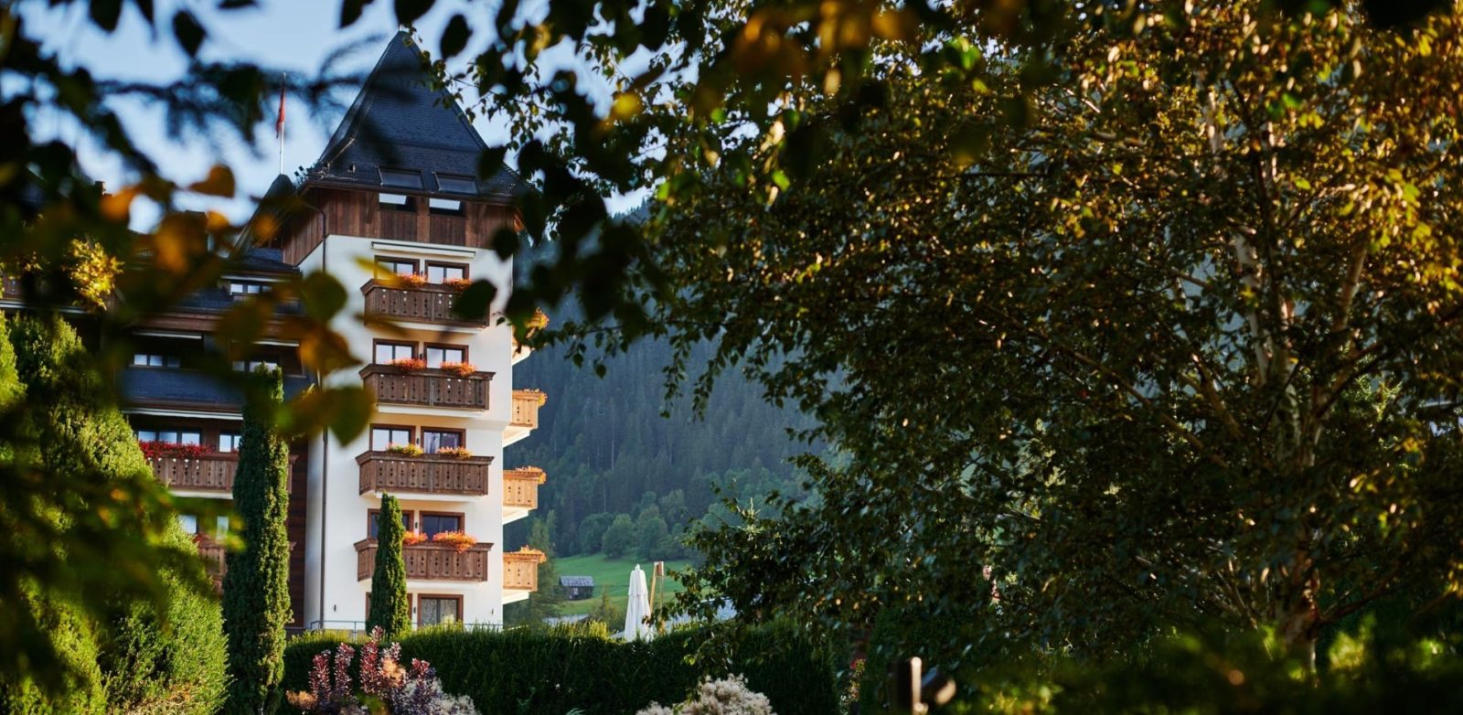 Hôtel Alpina Gstaad