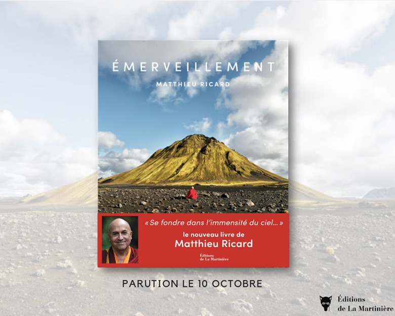 Emerveillement Matthieu Ricard