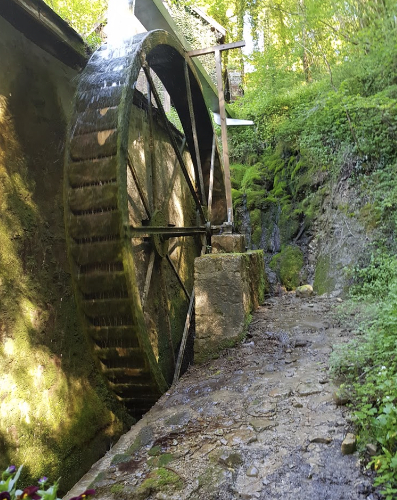 la roue du moulin de Chanaz