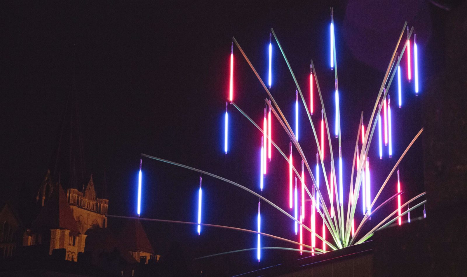 Festival Lausanne lumières 2019 Lausanne ECHINODERMUS 