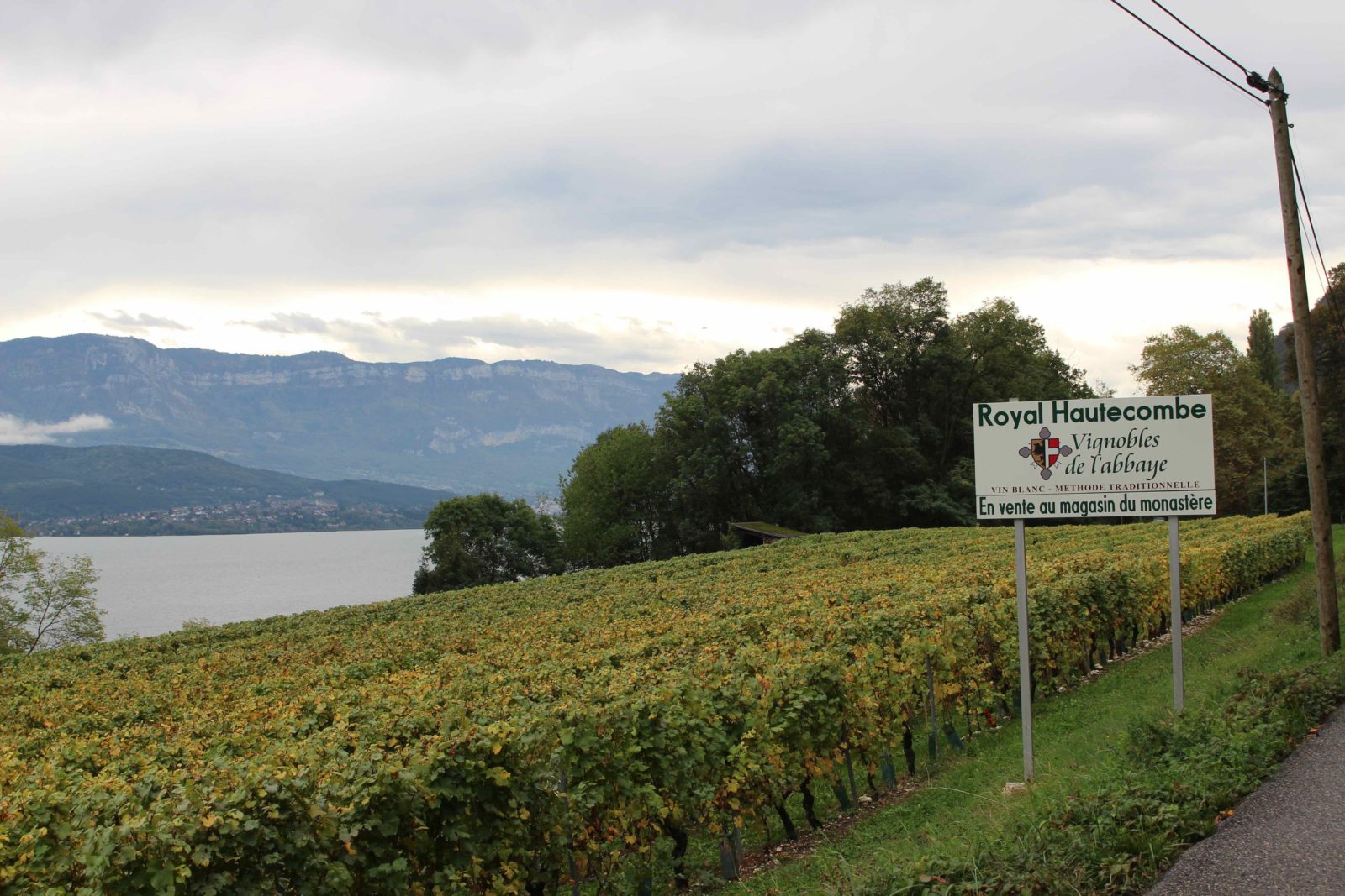 Abbaye d'Hautecombe vignobles