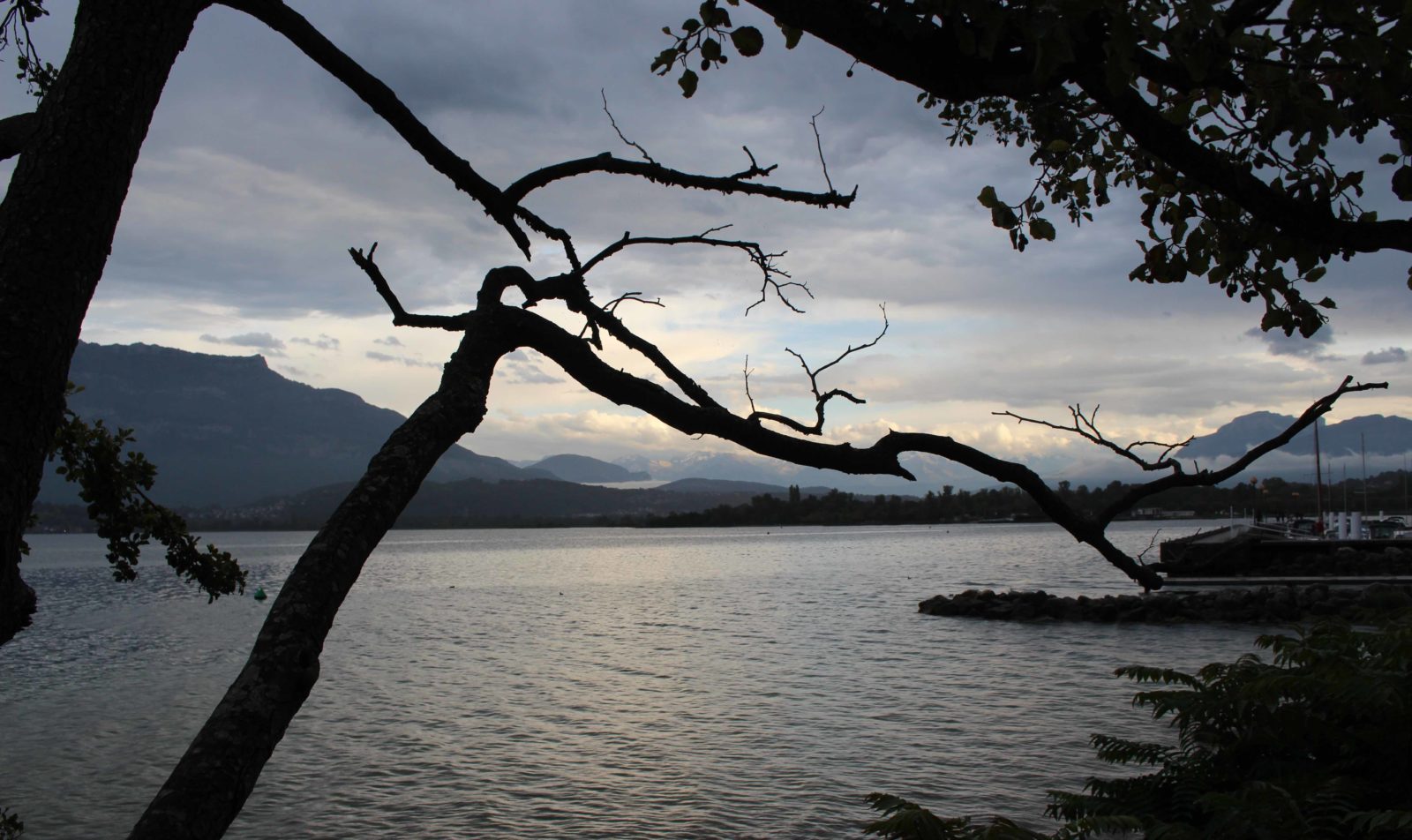 Lac du Bourget le soir