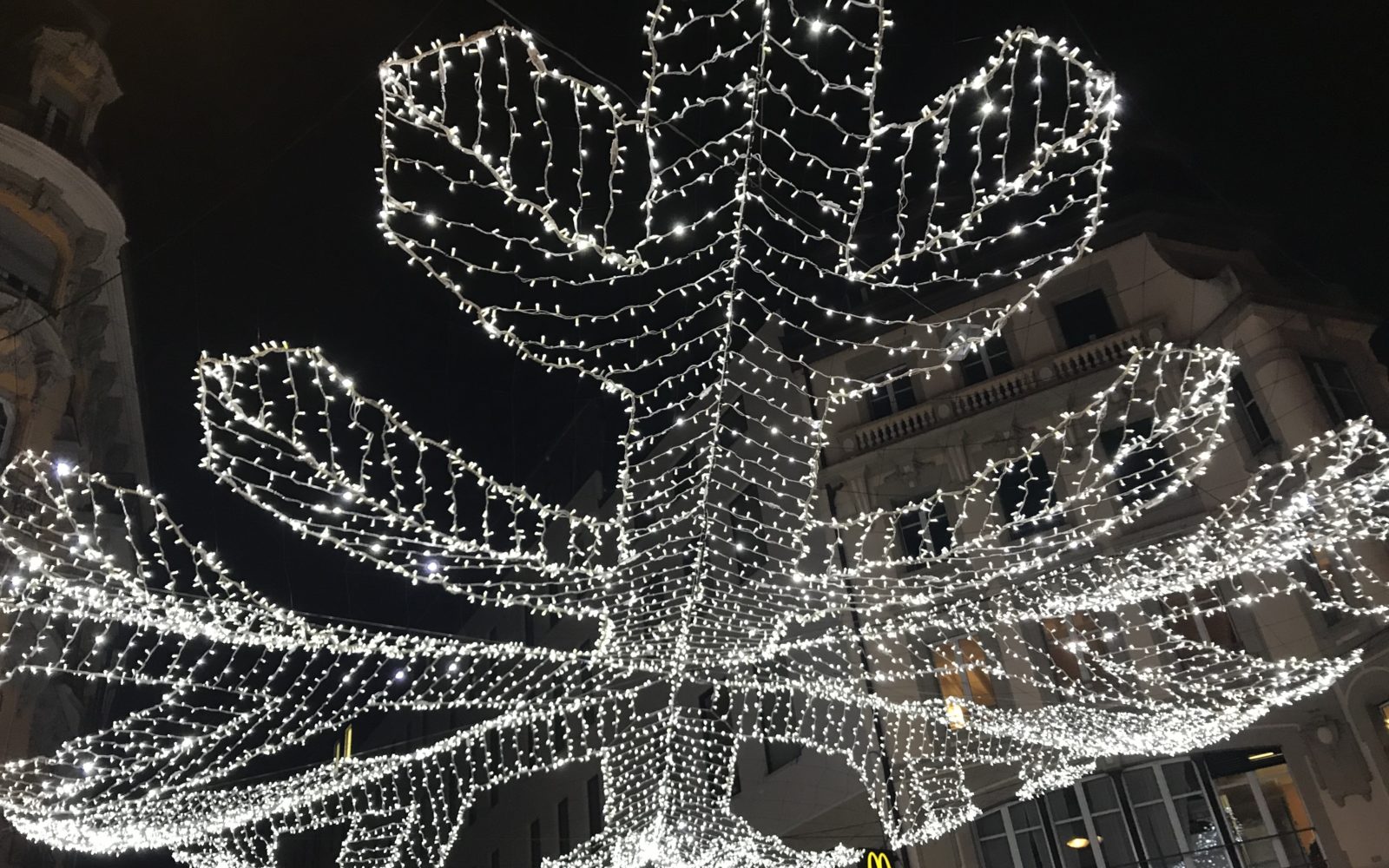 Festival Lausanne lumières 2019 illumination de rue 